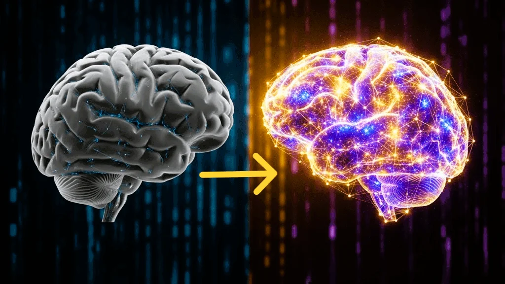 How Forbidden China Wealth audio works with your brain and mindset